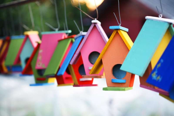 Buntes_Vogelhaus.jpg 